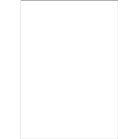 Asp X-Large Plastic Floor Mats (2.75 Mil), 21" X 24", 250 Per Roll Pk 128